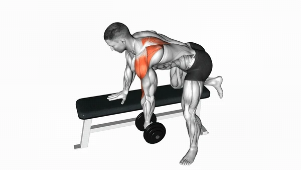 Bench Rear Delt Saw