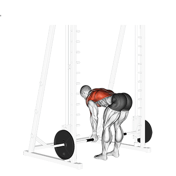 Smith Machine Reverse Grip Bent Over Row
