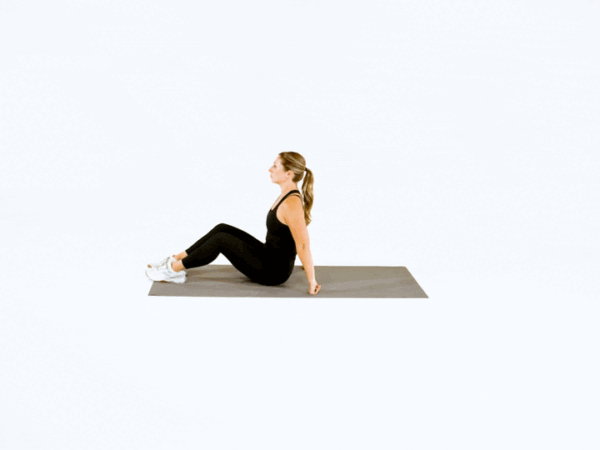 Ab Roller
