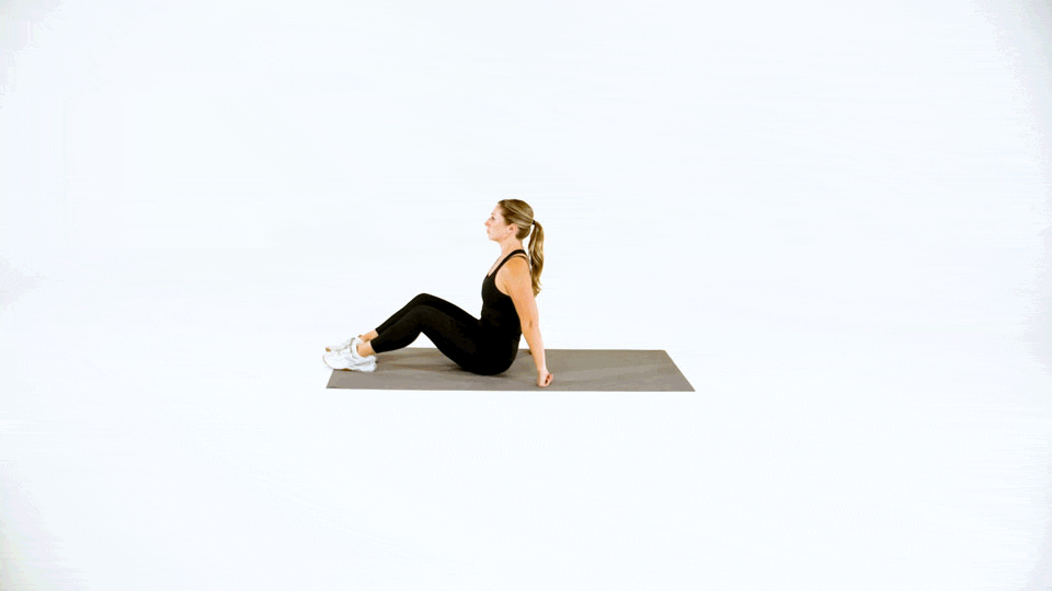 Ab Roller