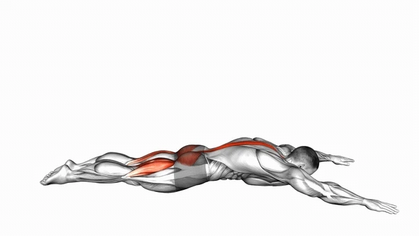 Back Extension Prone