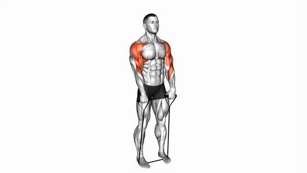 Resistance Band Upright Row