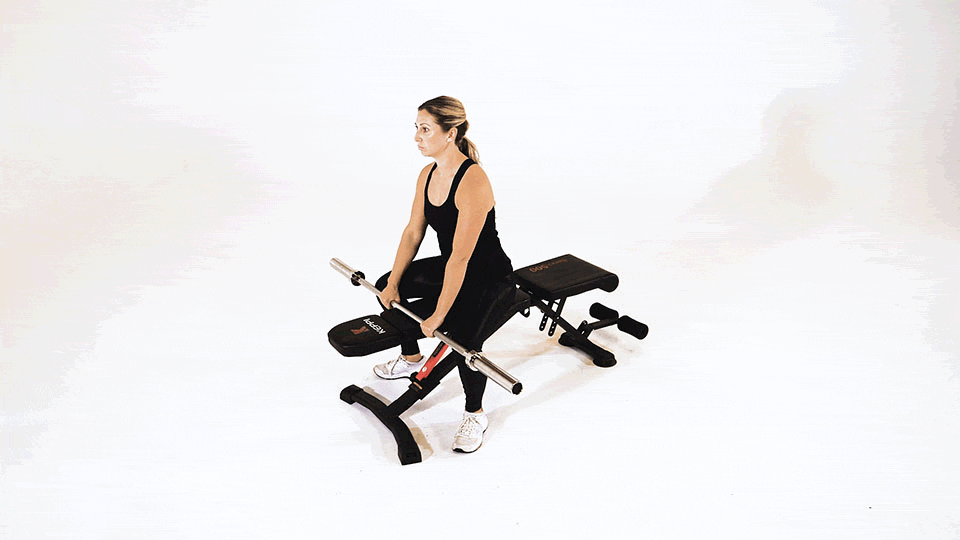 Seated Barbell Front Raise