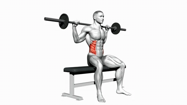 Barbell Seated Twist
