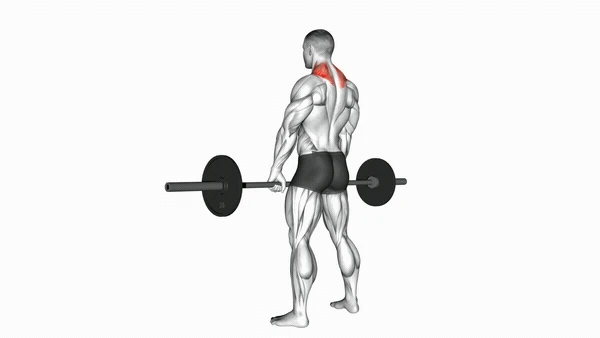 Barbell Shrug