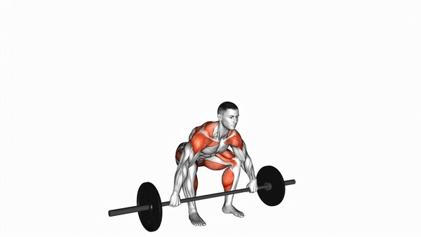 Barbell Snatch Pull