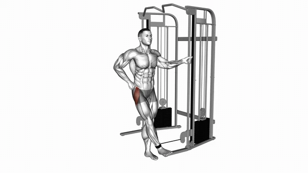 Cable Hip Abduction