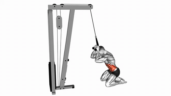 Cable Kneeling Crunch