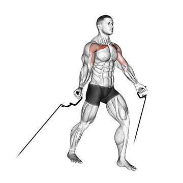 Standing Cable Upper Chest
