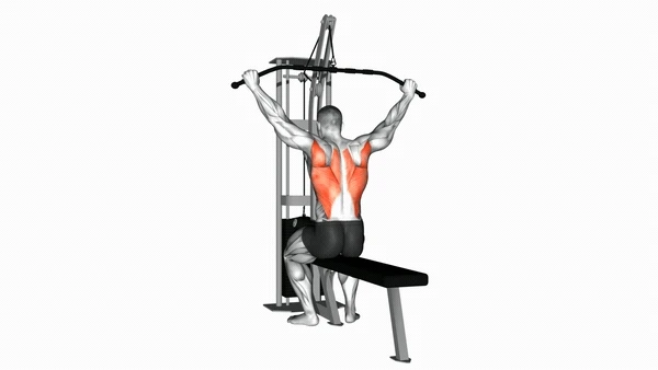 Cable Rear Pulldown Wide Grip