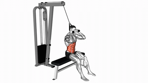 Cable Seated Crunch