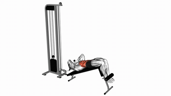 Decline Bench Cable Crunch