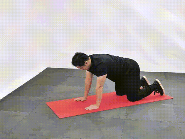 Downward Facing Puppy Dog