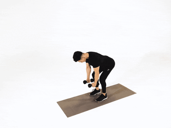Bent-Over Alternating Dumbbell Reverse Fly