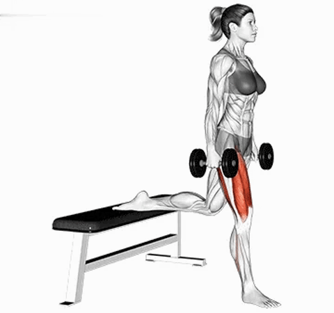 Dumbbell Single-Leg Bulgarian Split Squat