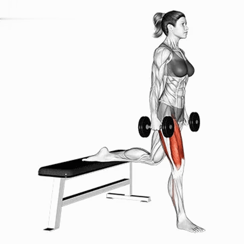 Dumbbell Single-Leg Bulgarian Split Squat