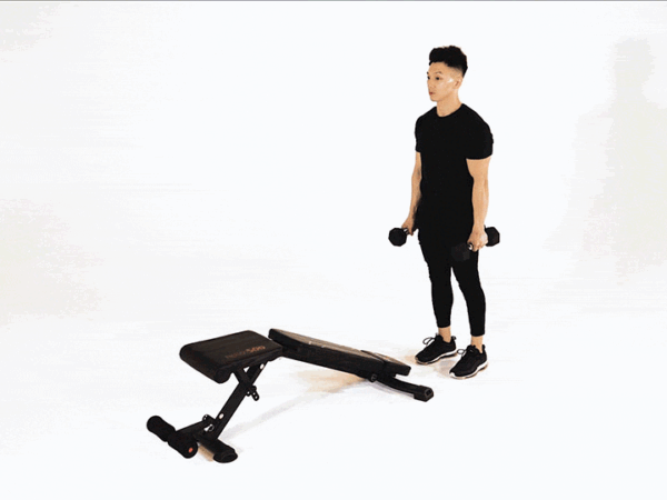 Dumbbell Decline Bench Lunge