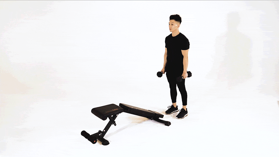 Dumbbell Decline Bench Lunge