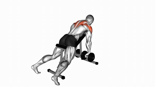 Dumbbell Incline Bench Row