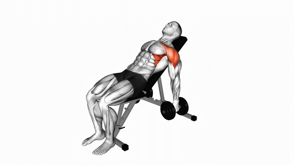 Dumbbell Front Raise on Incline Bench
