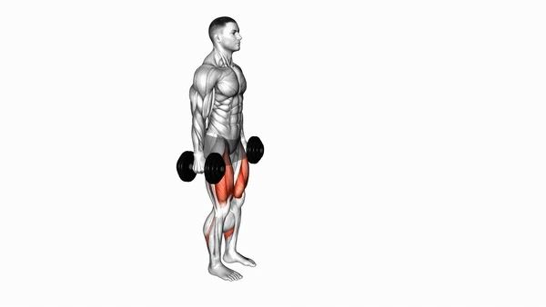 Dumbbell Lunge