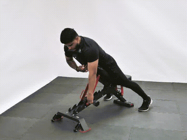Dumbbell One Arm Rear Row Prone