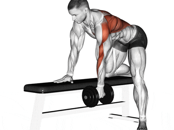 Dumbbell One-Arm Row
