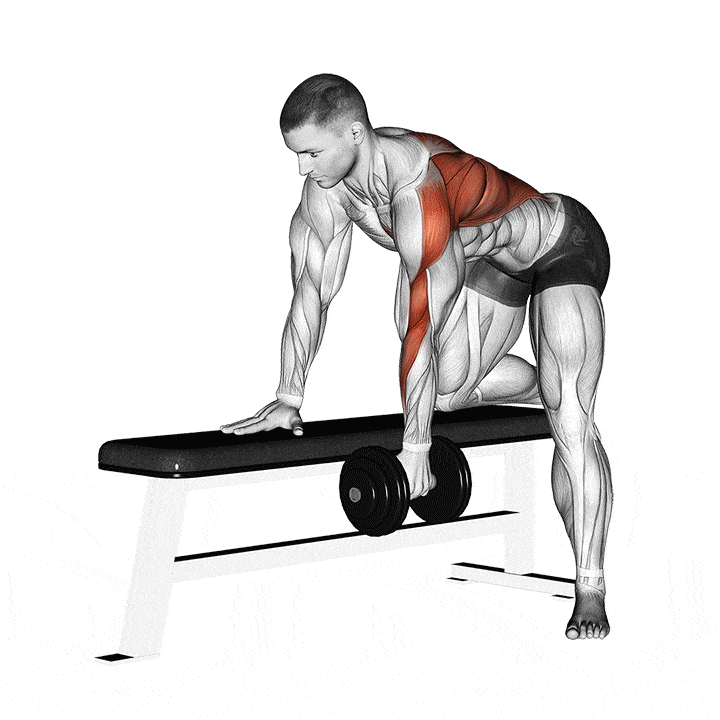 Dumbbell One-Arm Row