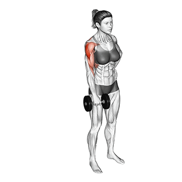 Standing Dumbbell Raise