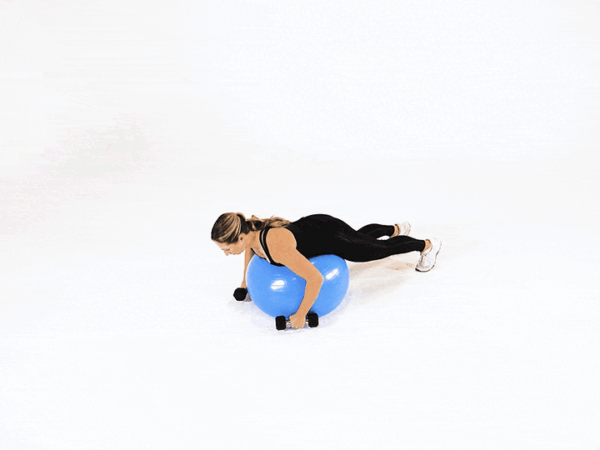 Dumbbell Balance Reverse Fly