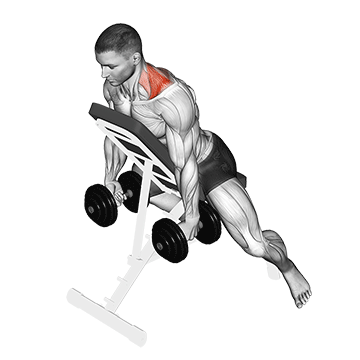 Incline Dumbbell Prone Shrug