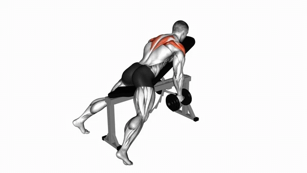 Reverse Fly with External Rotation