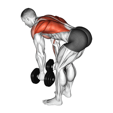 Standing Dumbbell Rotational Row