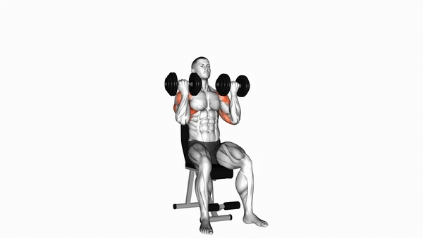 Seated Alternating Arnold Press