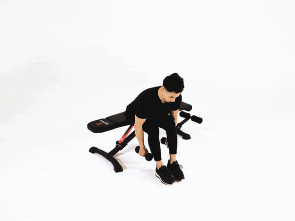 Seated Alternating Dumbbell Reverse Fly