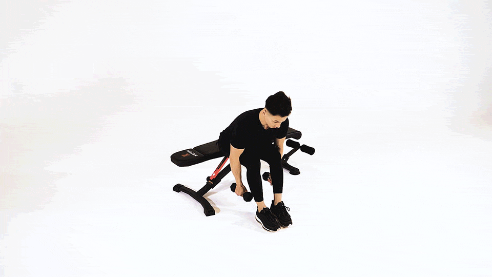 Seated Alternating Dumbbell Reverse Fly