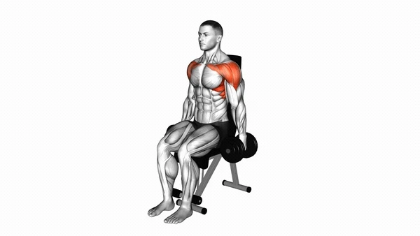 Seated Dumbbell Front Raise