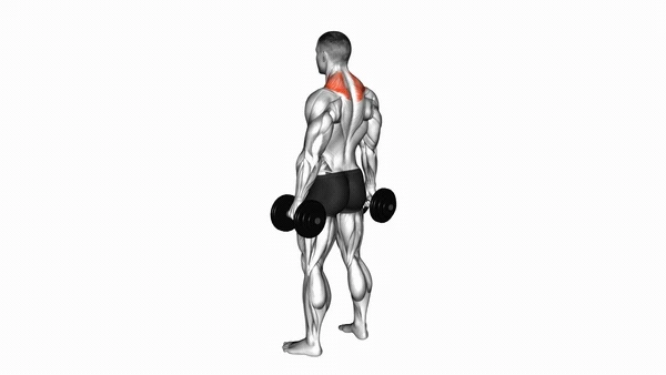 Dumbbell Shoulder Shrug
