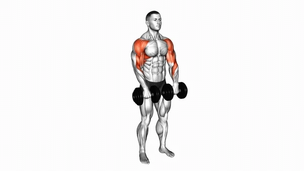 Standing Dumbbell Shrug
