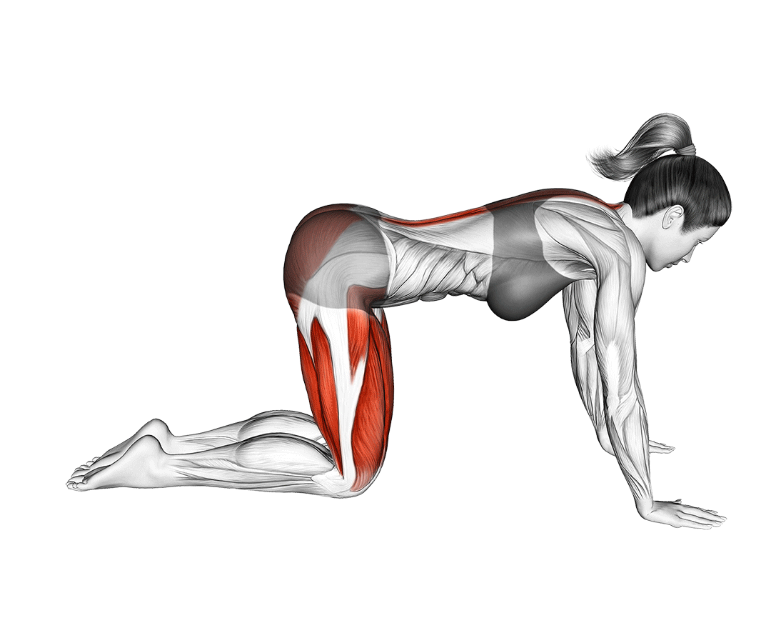 Extended Arm Child Pose Stretch