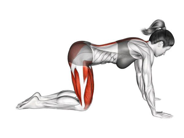 Extended Arm Child Pose Stretch