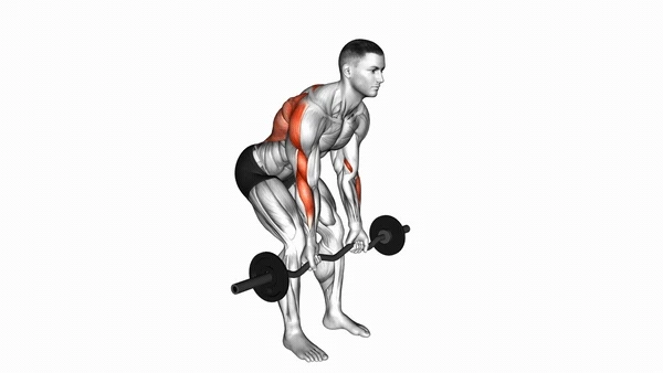 EZ-bar Bent-Over Row Reverse Grip