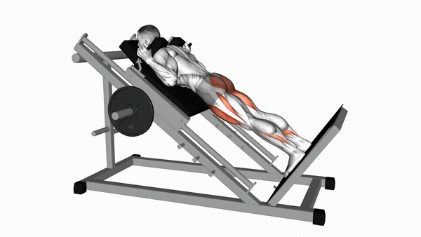Hack Squat (Reverse Position)