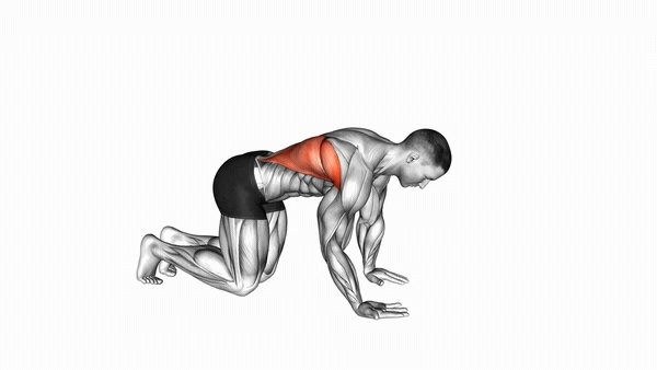 Kneeling Lat Stretch