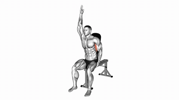 Low Back Chair Stretch