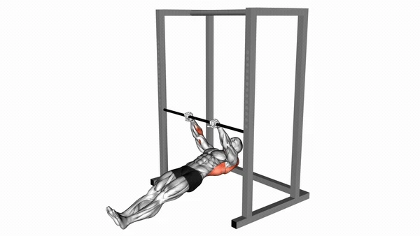 Machine Inverted Row