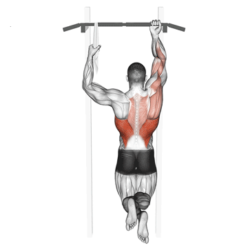 One-Arm Chin-Up
