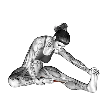 Seated Floor Hamstring Stretch