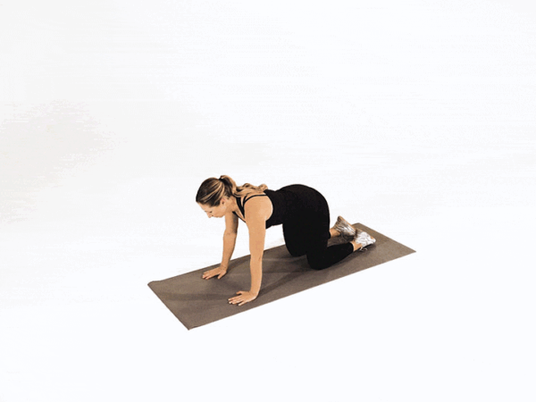 Shell Stretch
