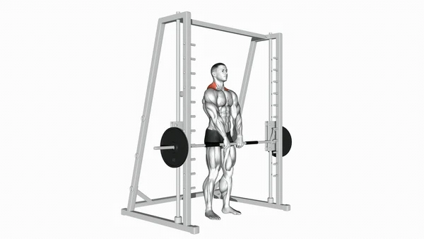 Smith Machine Shrug